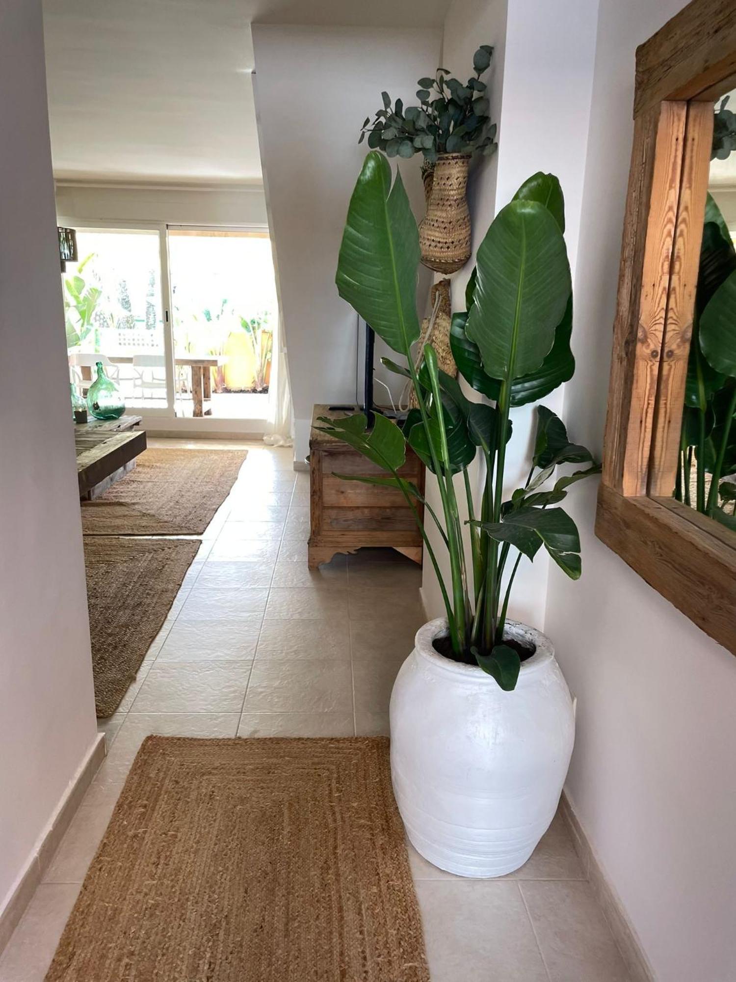 Alojamiento Arenal Park Javea Dış mekan fotoğraf